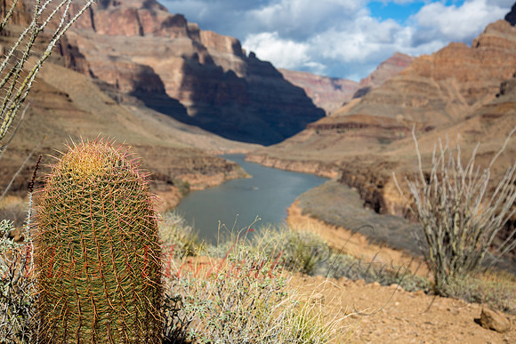 Grand Canyon
