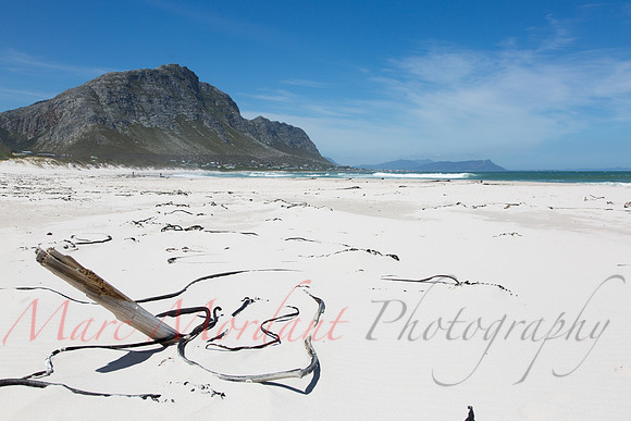 Betty's Bay