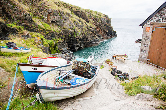 Lizard Point