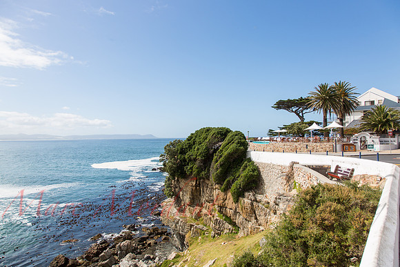 Hermanus