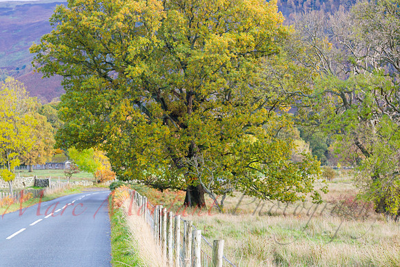 Cumbria