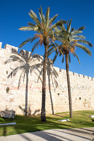 Jerusalem