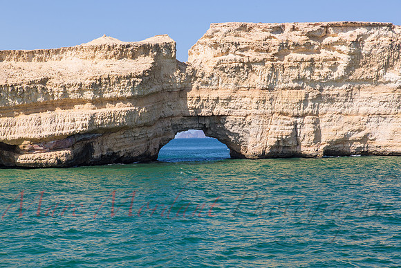 Muscat