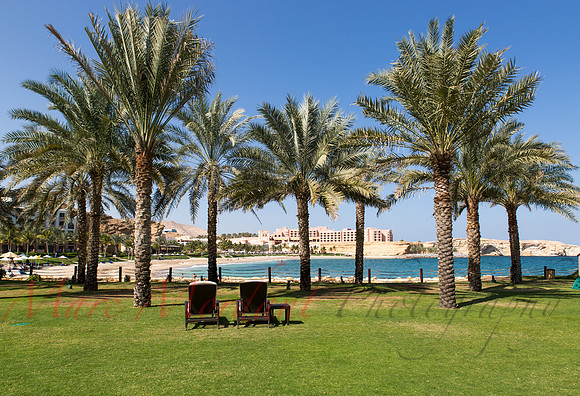 Muscat
