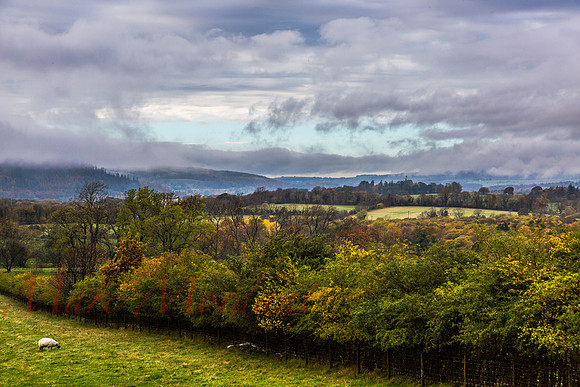 Cumbria
