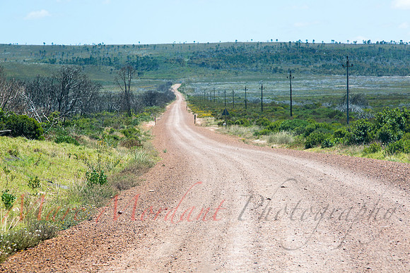 Garden Route