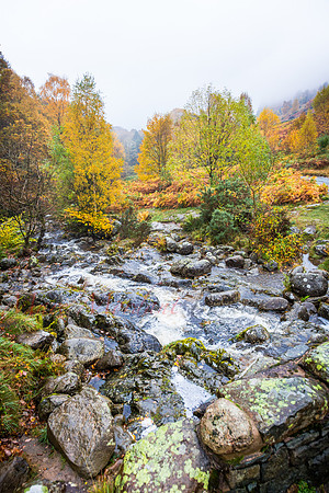 Cumbria