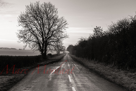 Gloucestershire