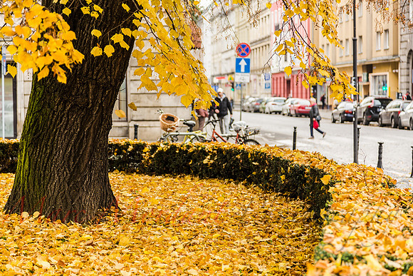Wrocław
