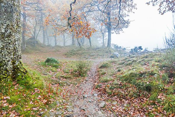 Cumbria