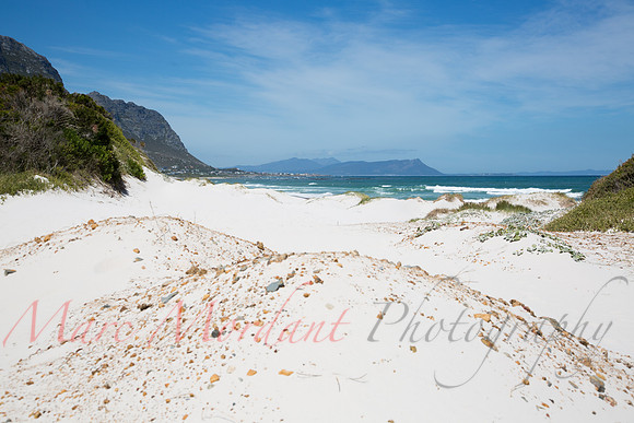 Betty's Bay
