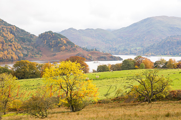 Cumbria