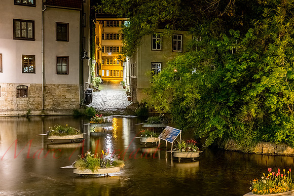 Erfurt