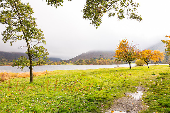 Cumbria