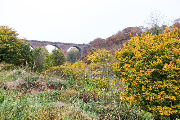 Cumbria