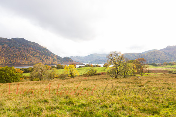 Cumbria