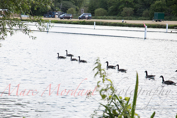 Royal Henley Regatta 2015