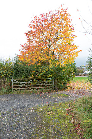 Cumbria