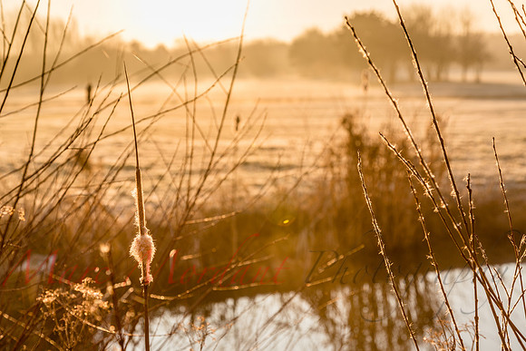 Chantilly, France