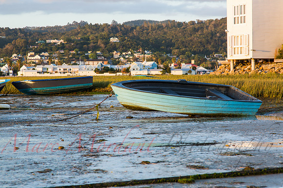 Knysna