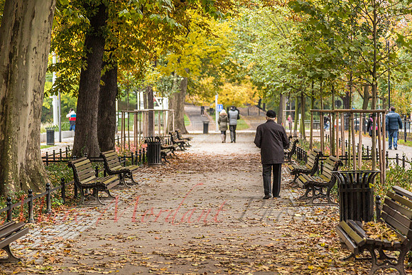 Wrocław