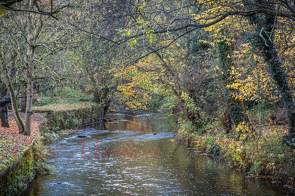 Cumbria