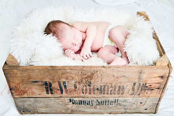 Among Babies