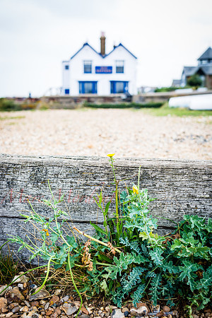 Whitstable