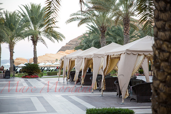 Muscat