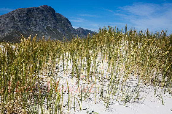 Betty's Bay