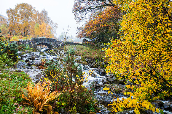 Cumbria