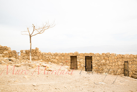 Masada