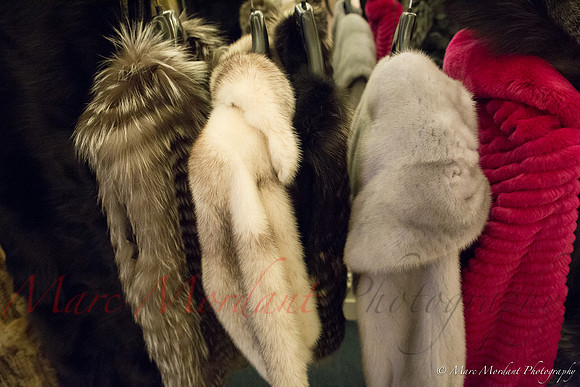 CFW - 10 May 2014