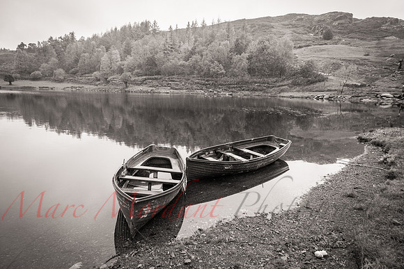 Cumbria