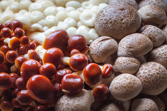 Mushrooms