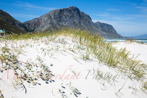 Betty's Bay