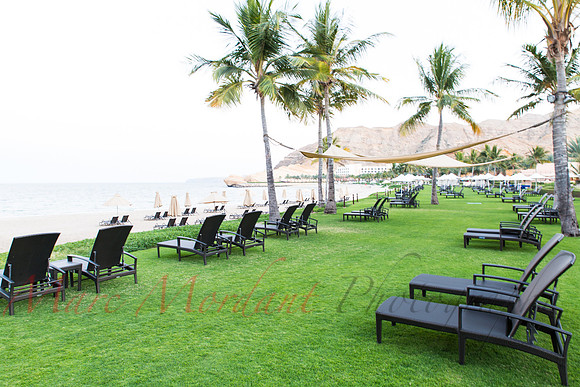 Muscat