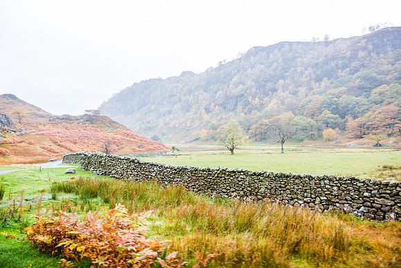 Cumbria