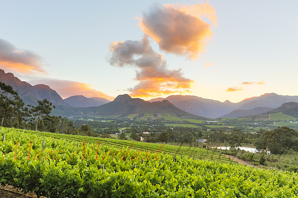 Franschhoek