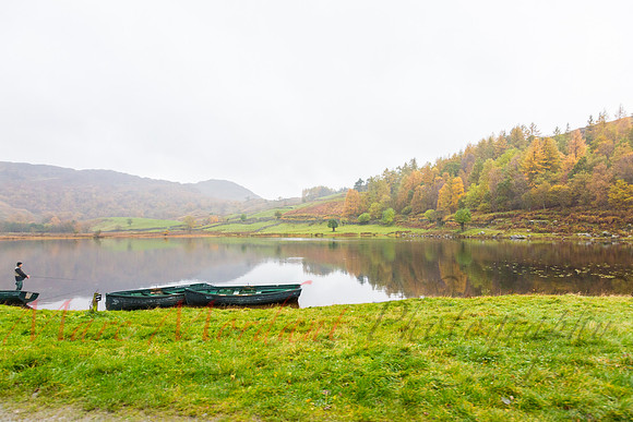 Cumbria