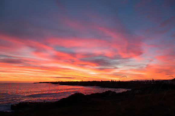 Hermanus
