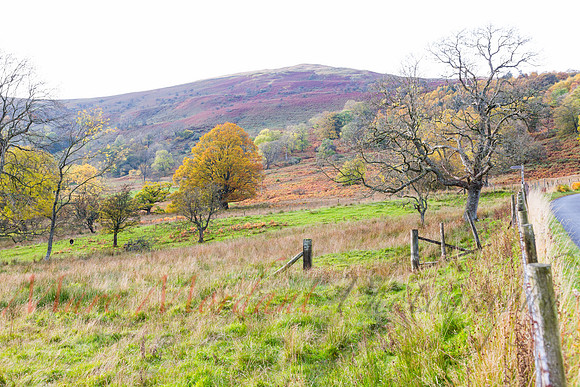 Cumbria