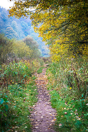 Cumbria