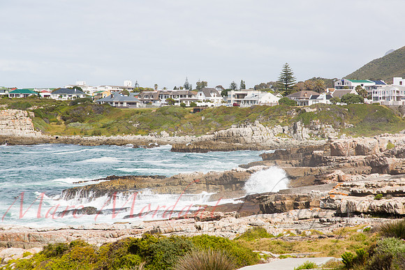 Hermanus