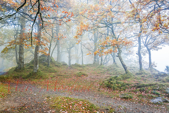 Cumbria