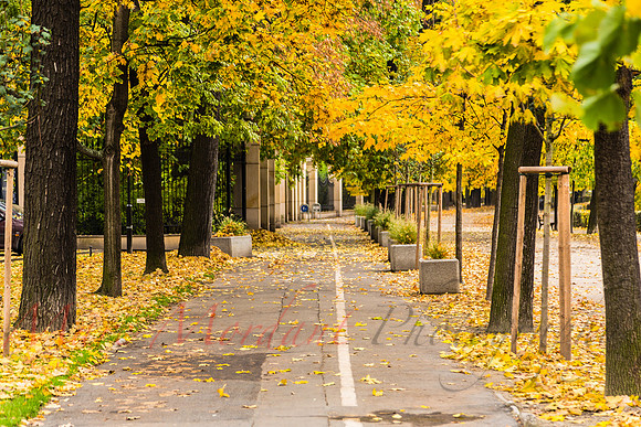 Wrocław
