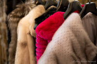 CFW - 10 May 2014