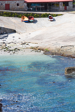 Hermanus