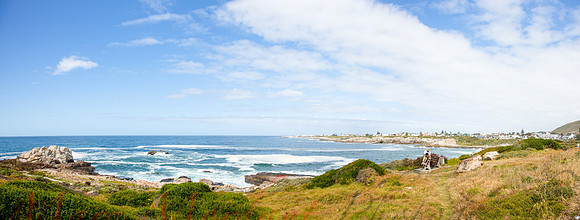 Hermanus