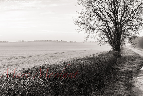 Gloucestershire